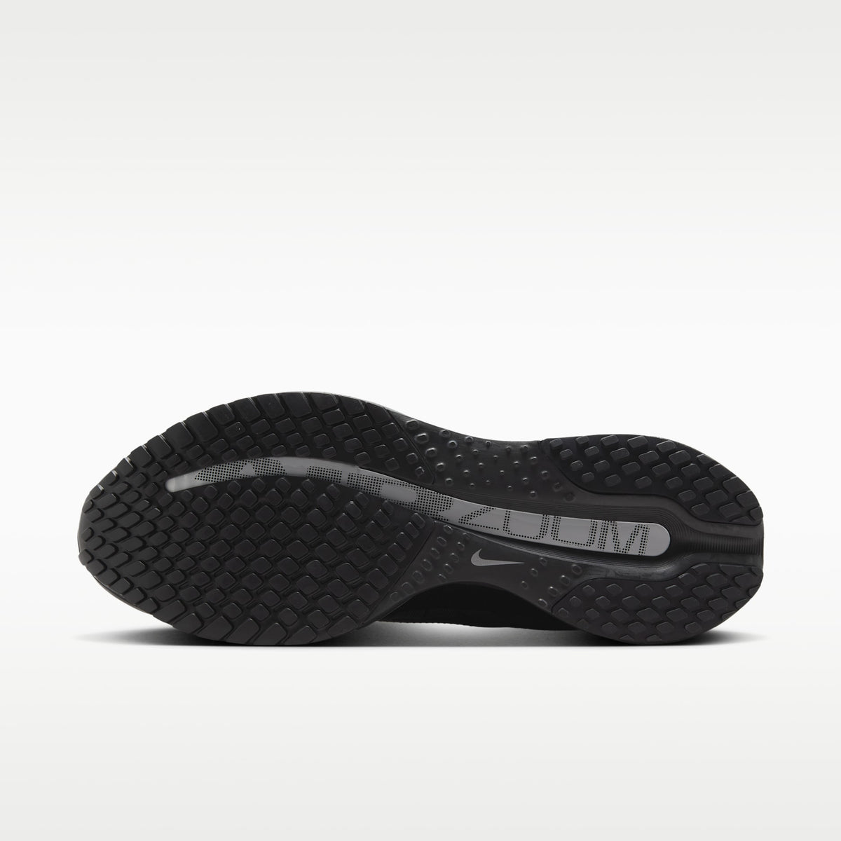 Nike Pegasus Premium – Noir & Argent – vue 2