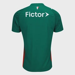 Palmeiras - dos